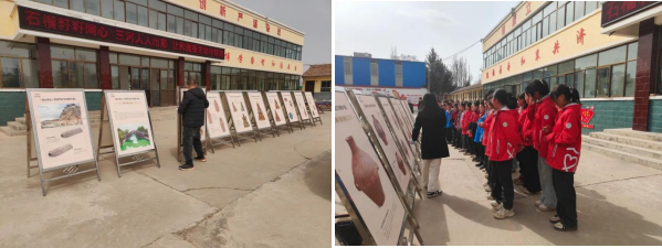 202504281745807512942256.png image.png