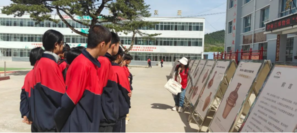 202506081749351221794954.png image.png