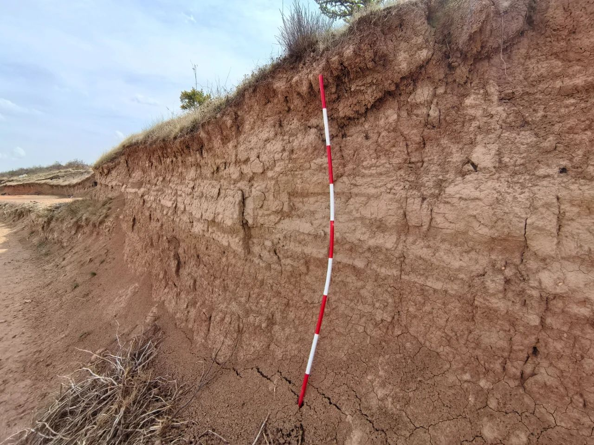 202506081749352851632544.png image.png