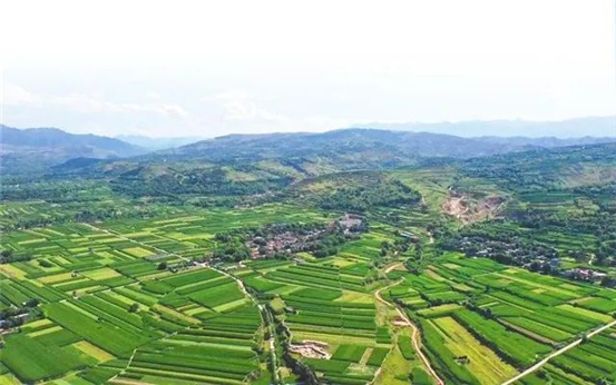 202506081749359863607045.png image.png